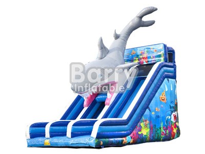 Commercial Customized Outdoor Big Cheap Sharp Inflatable Dry Slide BY-DS-057